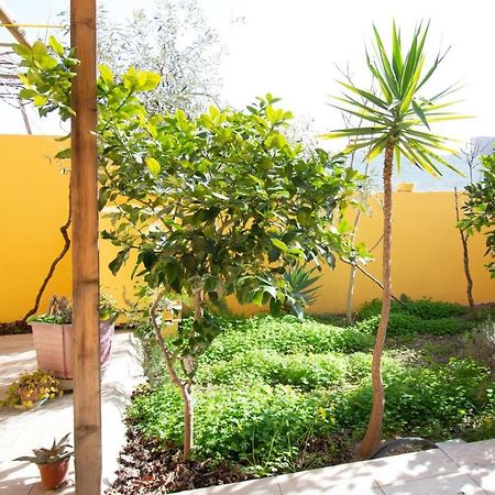 Yellow House-Villetta Con Giardino Oristano Eksteriør bilde